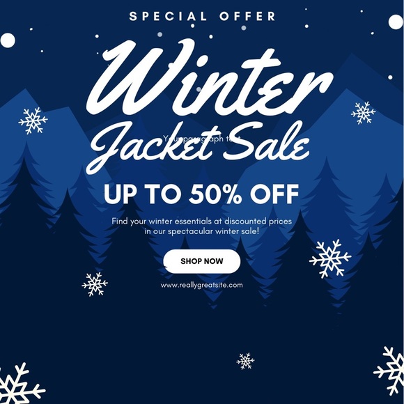 The North Face Other - Winter Jacket Sale